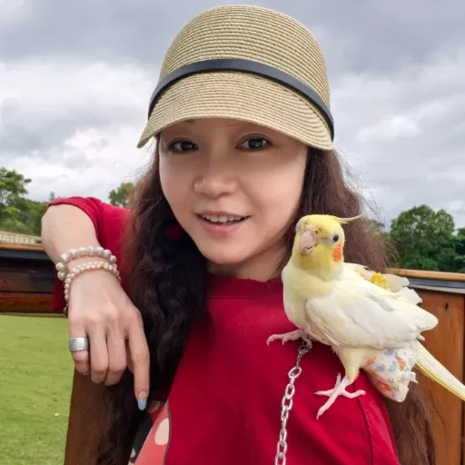 流光琥珀