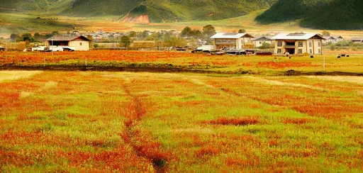 万科金域华府移动图书馆