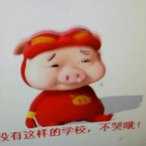 高中语文专题学习