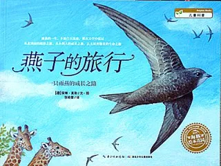 燕子的旅行
