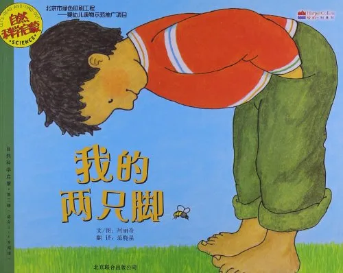 我的两只脚