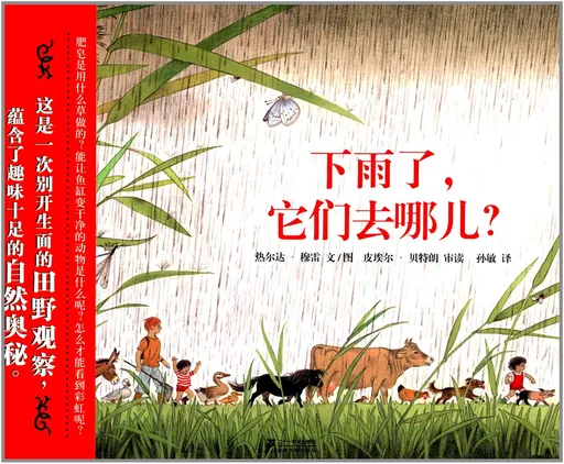 下雨了，它们去哪儿?