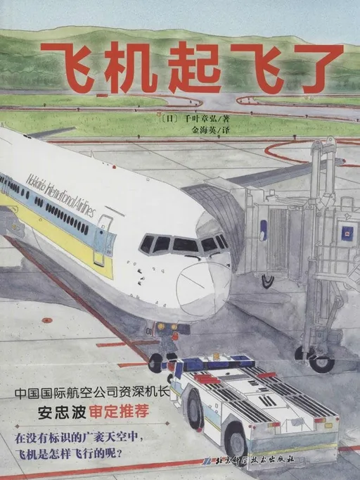 飞机起飞了