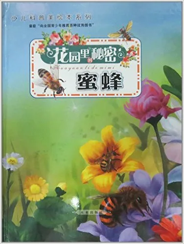 花园里的秘密:蜜蜂