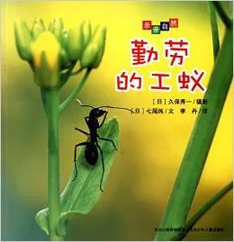 勤劳的工蚁