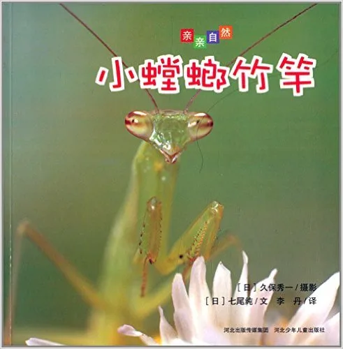 小螳螂竹竿