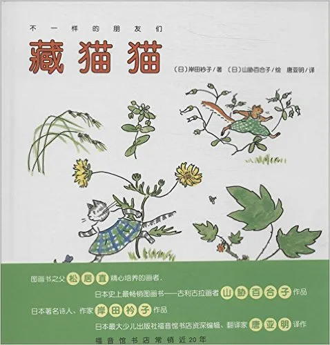藏猫猫