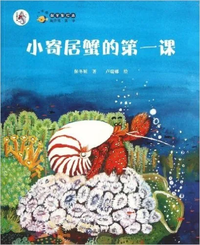 小寄居蟹的第一课