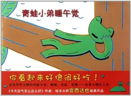 青蛙小弟睡午觉
