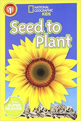 Seed to Plant