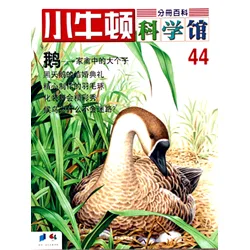 小牛顿科学馆44 鹅