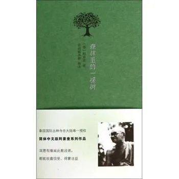 森林里的一棵树