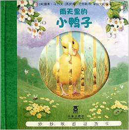 雨天里的小鸭子