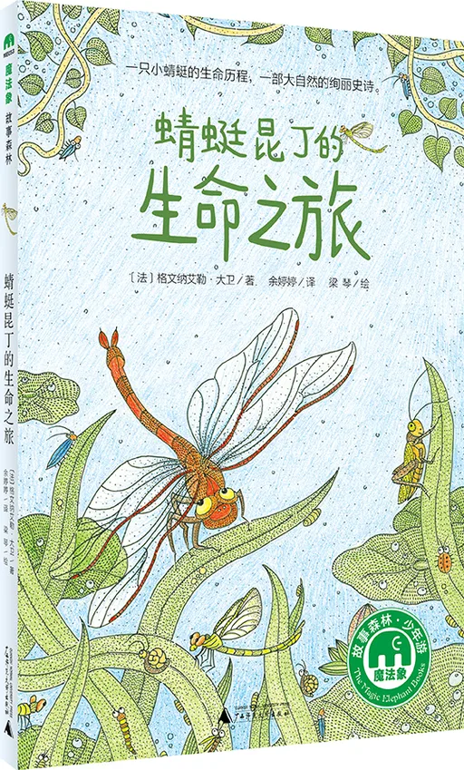 蜻蜓昆丁的生命之旅