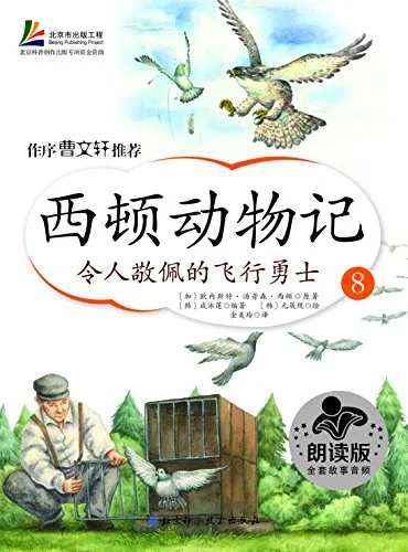 令人敬佩的飞行勇士