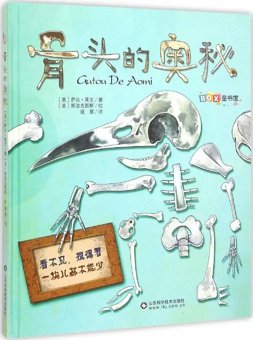 骨头的奥秘