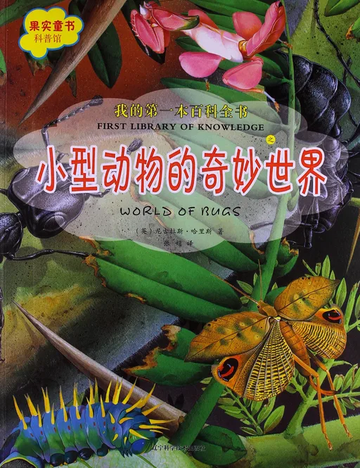 小型动物的奇妙世界