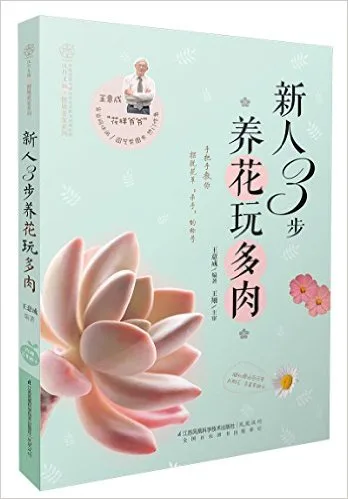 新人3步养花玩多肉