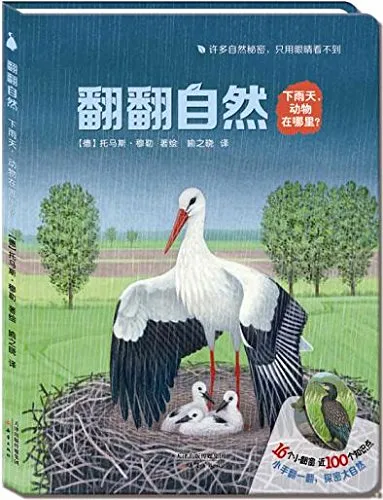 下雨天，动物在哪里？