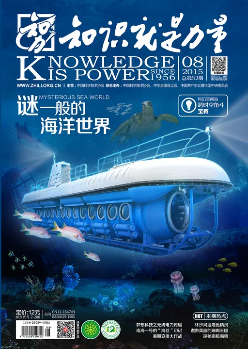 513知识就是力量