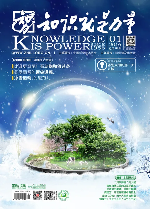 518知识就是力量