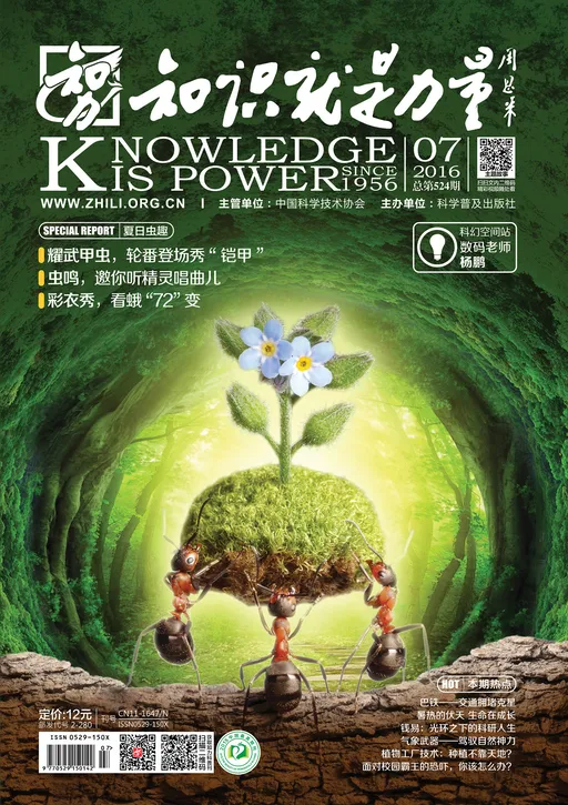 524知识就是力量