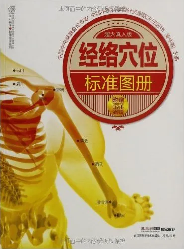 经络穴位标准图册