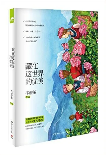 藏在这世界的优美