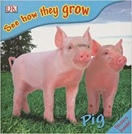 Pig