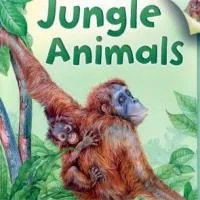 Jungle Animals