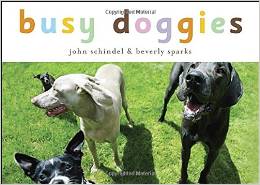 Busy Doggies