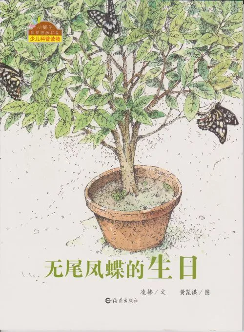 无尾凤蝶的生日