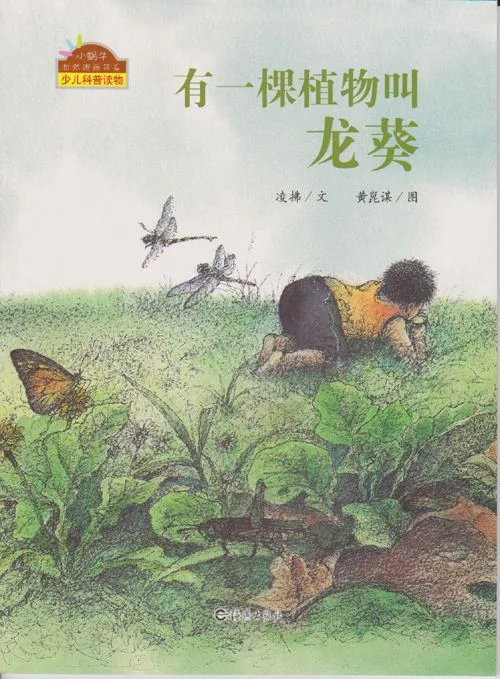 有一棵植物叫龙葵