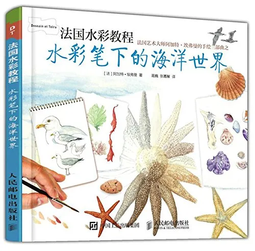 水彩笔下的海洋世界