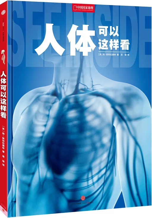 人体可以这样看