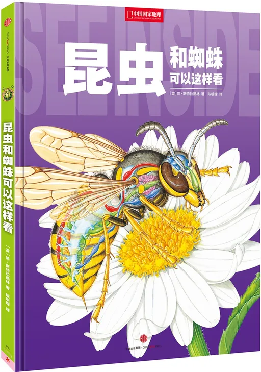 昆虫和蜘蛛可以这样看