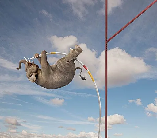 大象能玩撑竿跳