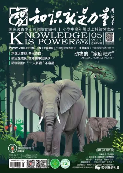 534知识就是力量