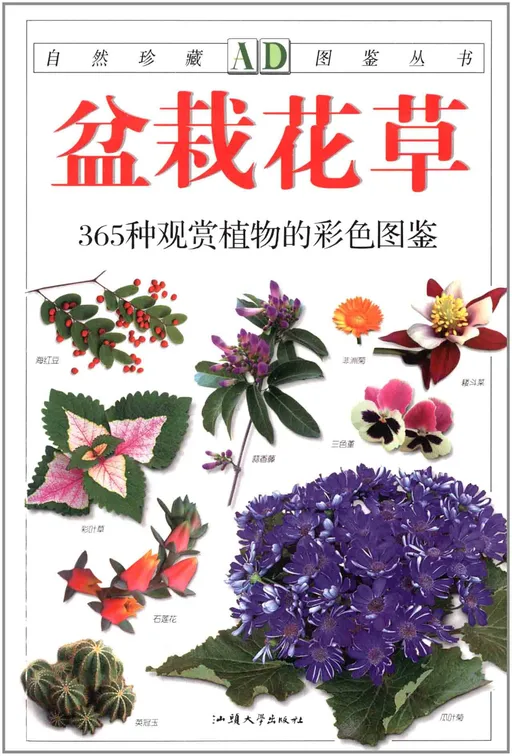 盆栽花草