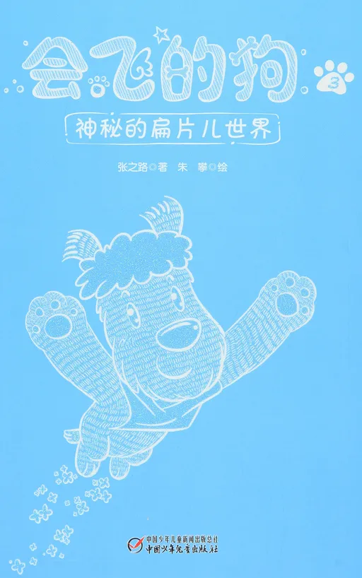 神秘的扁片儿世界