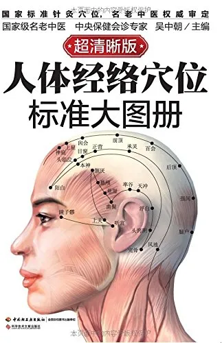人体经络穴位标准大图册