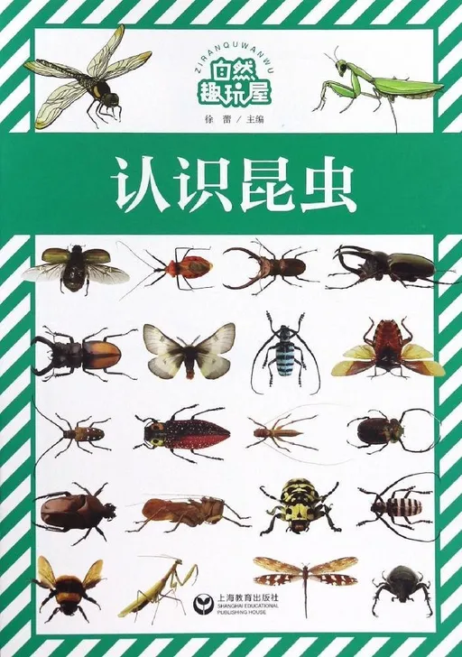 认识昆虫