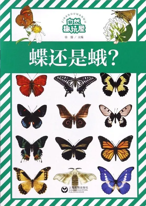 蝶还是蛾?