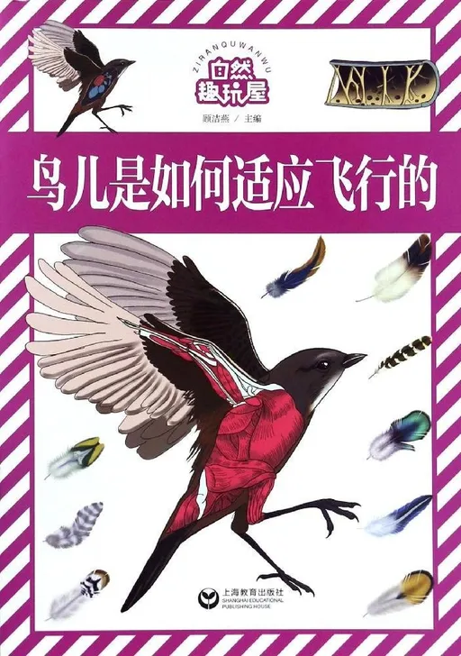 鸟儿是如何适应飞行的