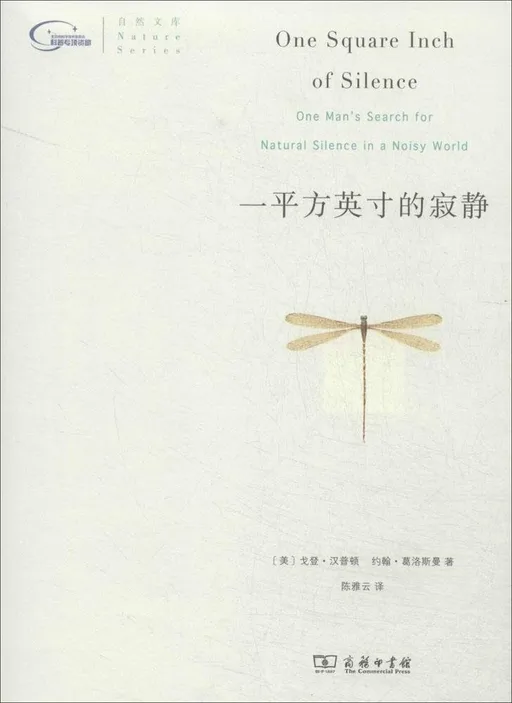 一平方英寸的寂静