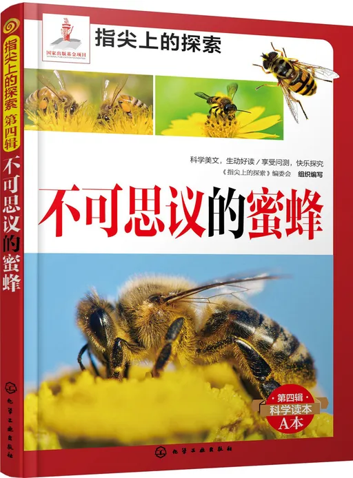 不可思议的蜜蜂