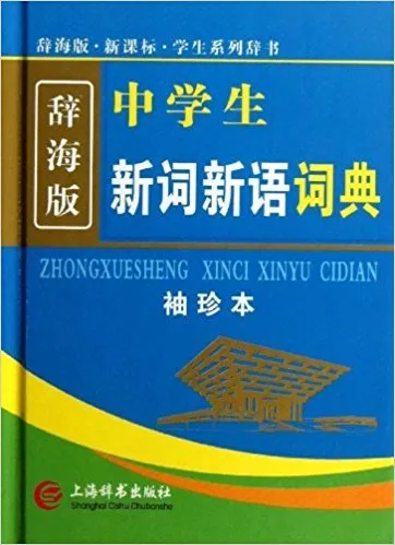 中学生新词新语词典