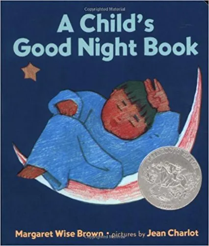 A Child's Good Night Book