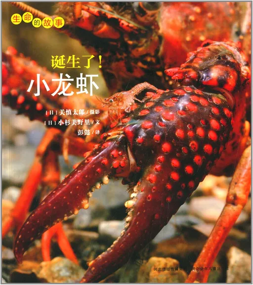 诞生了!小龙虾