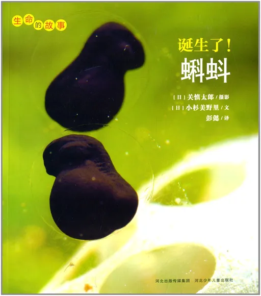 诞生了!蝌蚪